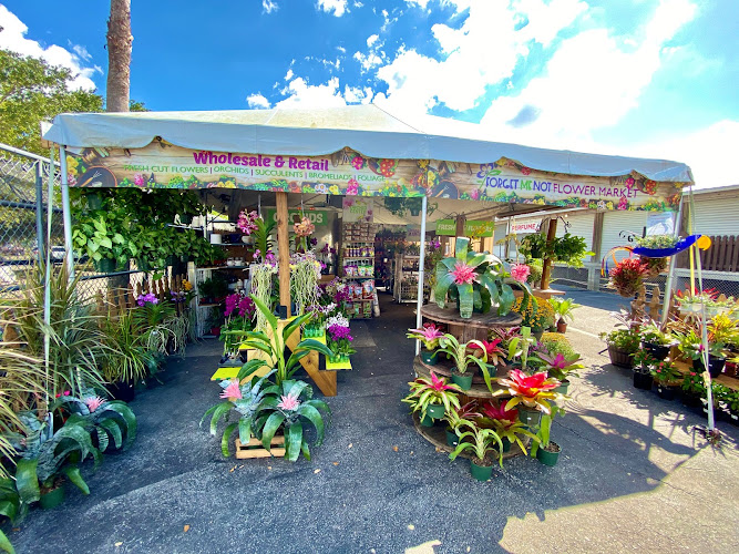 Forget Me Not Flower Market