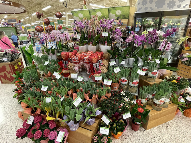 Publix Super Market at The Center of Bonita Springs