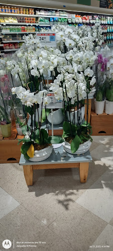 Publix Super Market at Bonita Bay Plaza