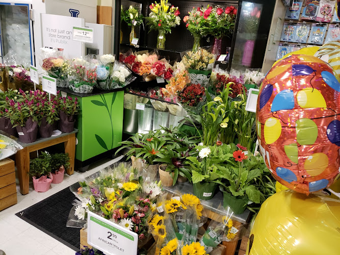 Publix Super Market at City Place