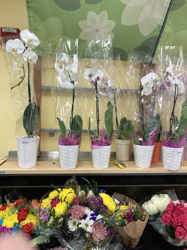 Publix Super Market at Paradise Place